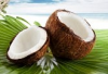 COCCO