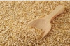 QUINOA