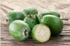 FEIJOA