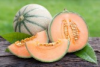 CANTALUPO