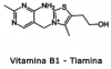 TIAMINA-VITAMINA B1